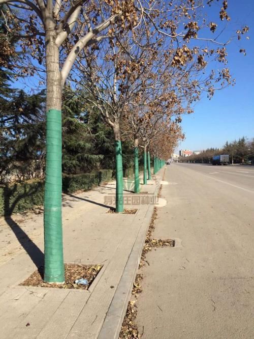工地防尘布树木保温布包树干用的无纺布价格